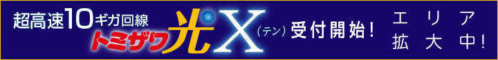 超高速10ギガ回線トミザワ光Ｘテン