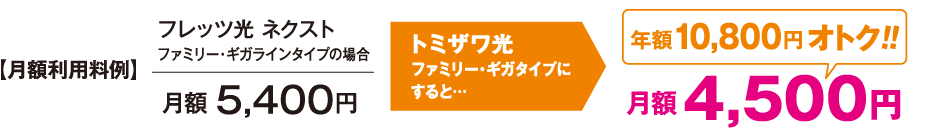 月額利用料例